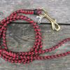 5' black/red leash