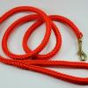 5' neon orange clip lead with intact paracord
